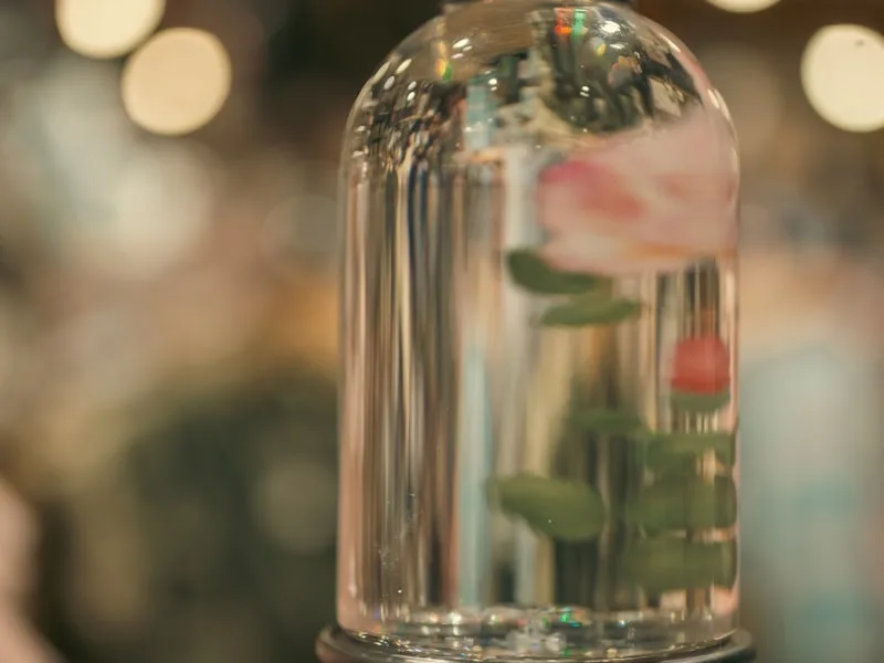 Preserved Rose in Glass Dome